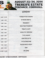 3 Chords Festival, Penzance, Cornwall 23-24.8.14